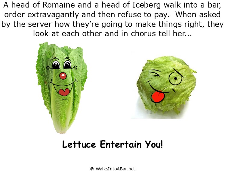 iceberg vs romaine iceberg vs romaine